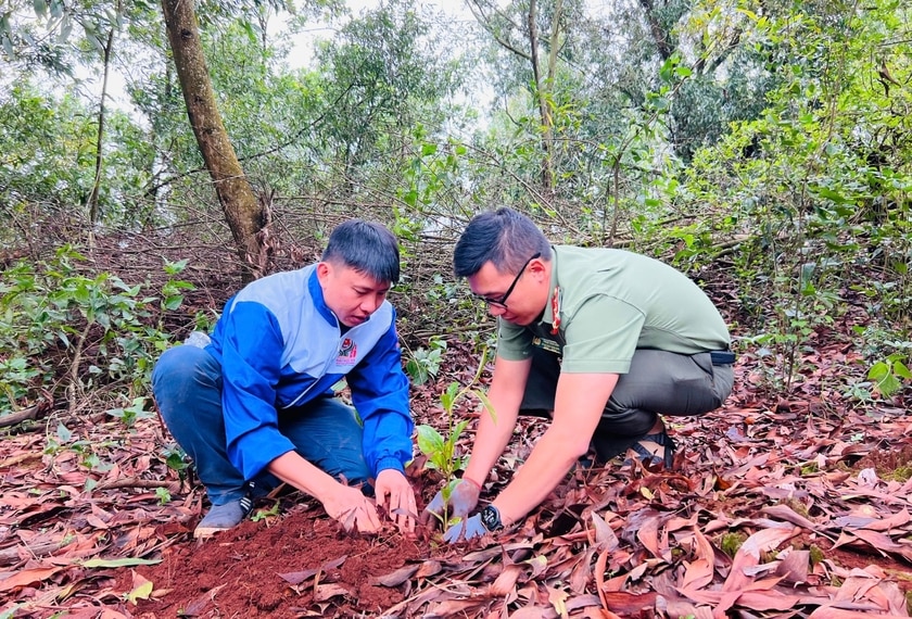Thành Đoàn Pleiku và Đoàn Thanh niên Công an tỉnh trồng 6.000 cây xanh tại xã Gào ảnh 2